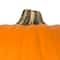 Orange Craft Pumpkin by Ashland®